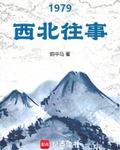1979西北往事